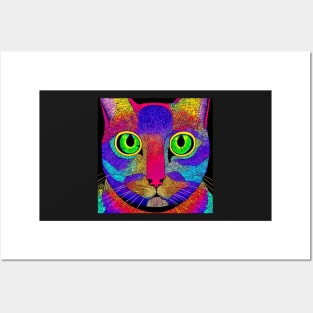 Rainbow Cat Posters and Art